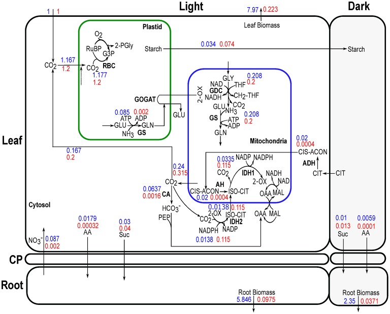 Figure 7