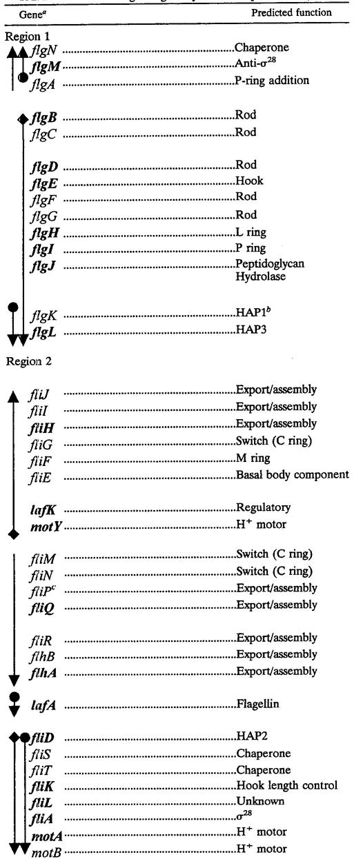 graphic file with name jb15300910t2.jpg