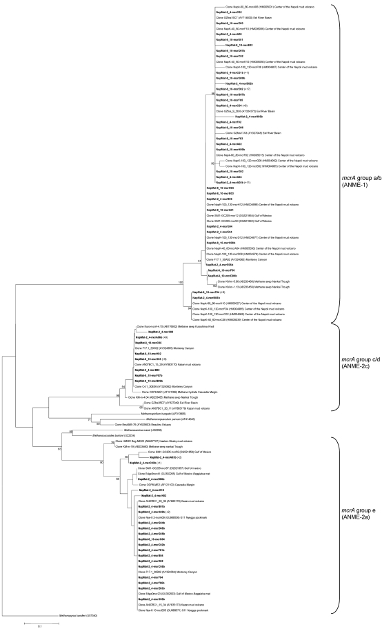 Fig. 6.