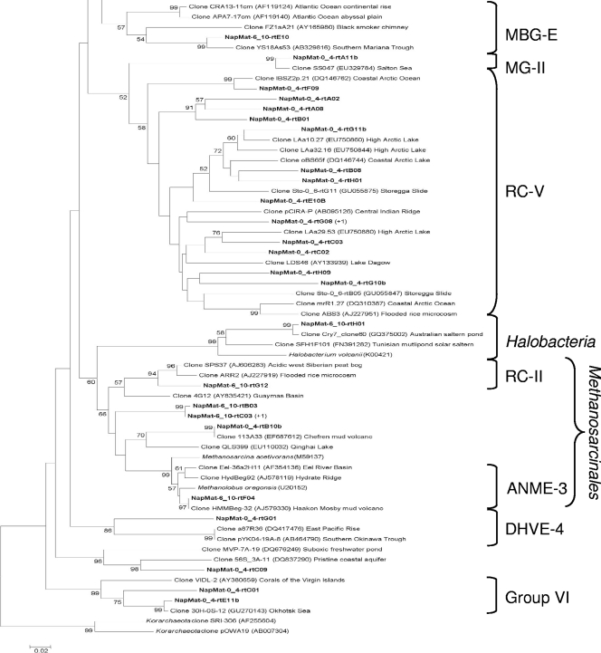 Fig. 5.