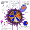 Graphical Abstract