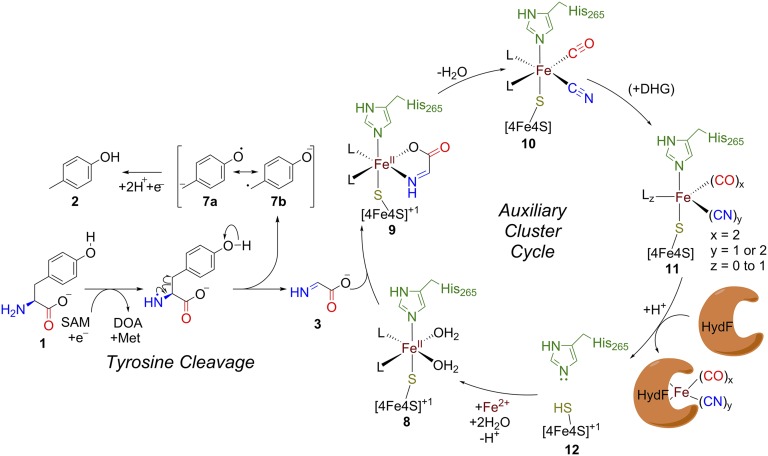 Fig. 4.