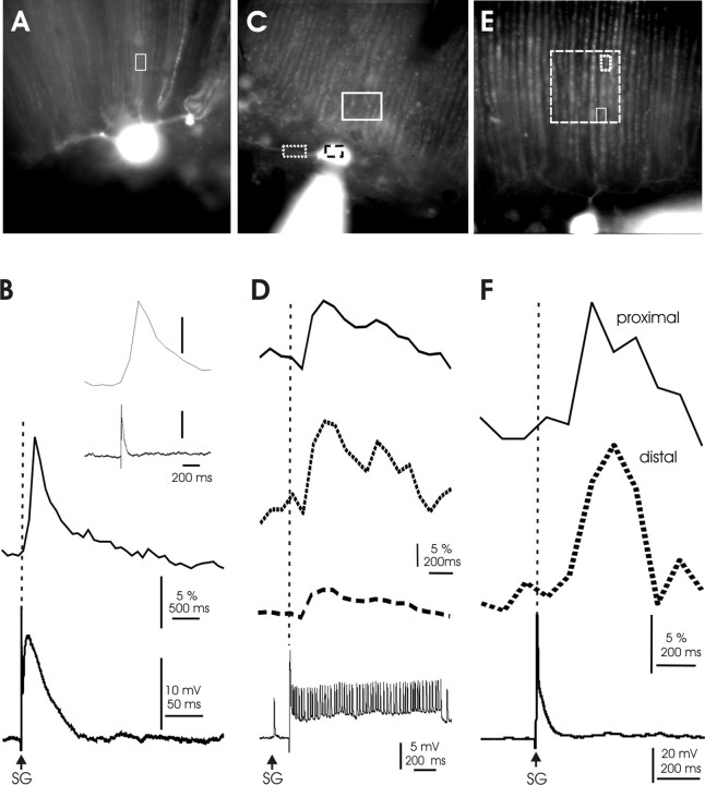 Figure 11.