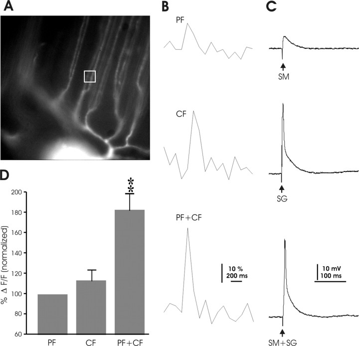 Figure 12.