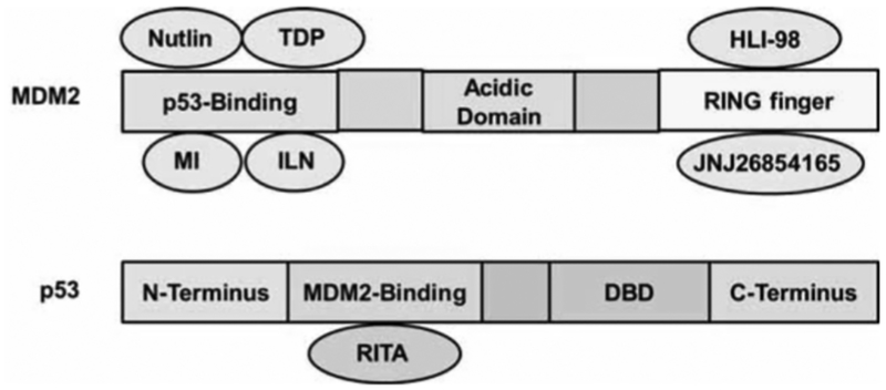 Fig. (3).