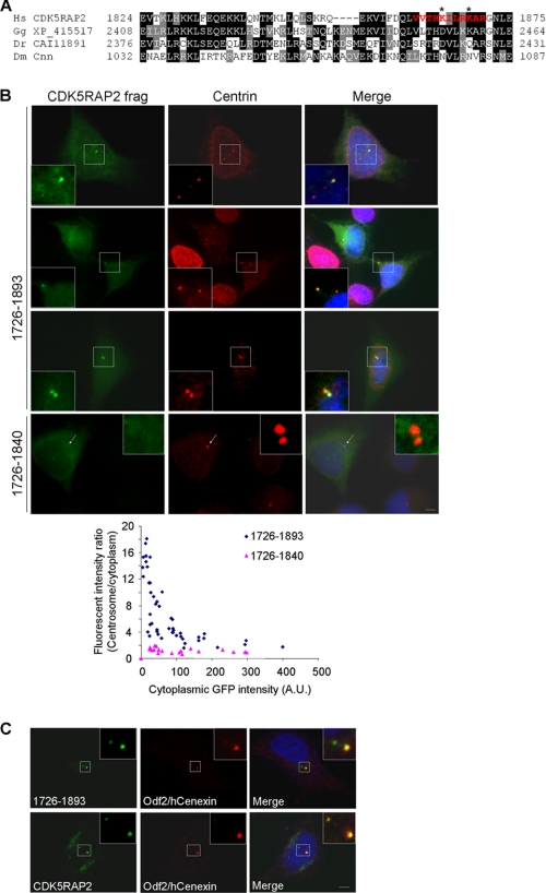 FIGURE 4.