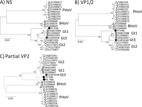 FIG. 2.