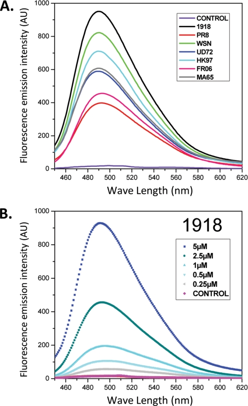 FIGURE 4.