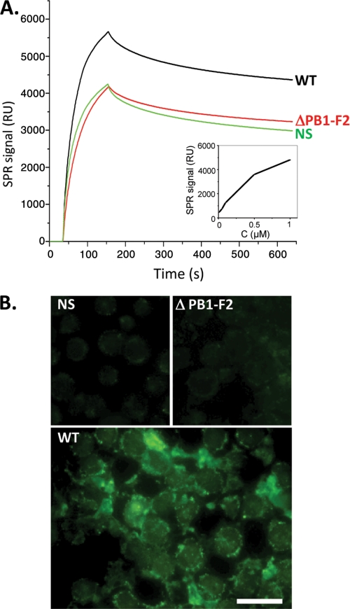 FIGURE 6.