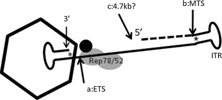 FIG. 5.