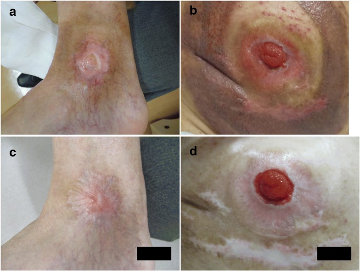 Fig. 4