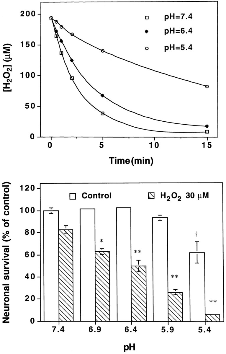 Fig. 8.