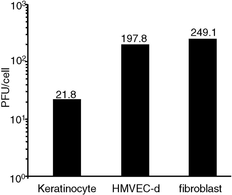 FIG. 2.