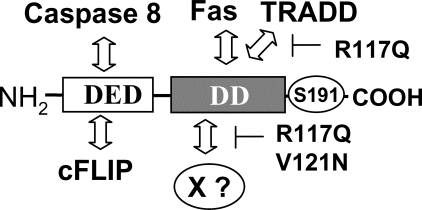 FIGURE 9.