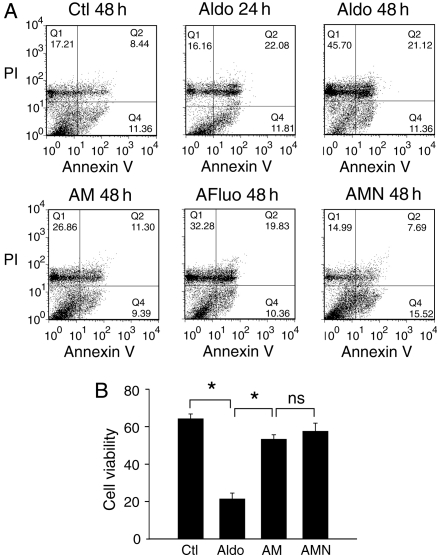 Figure 6