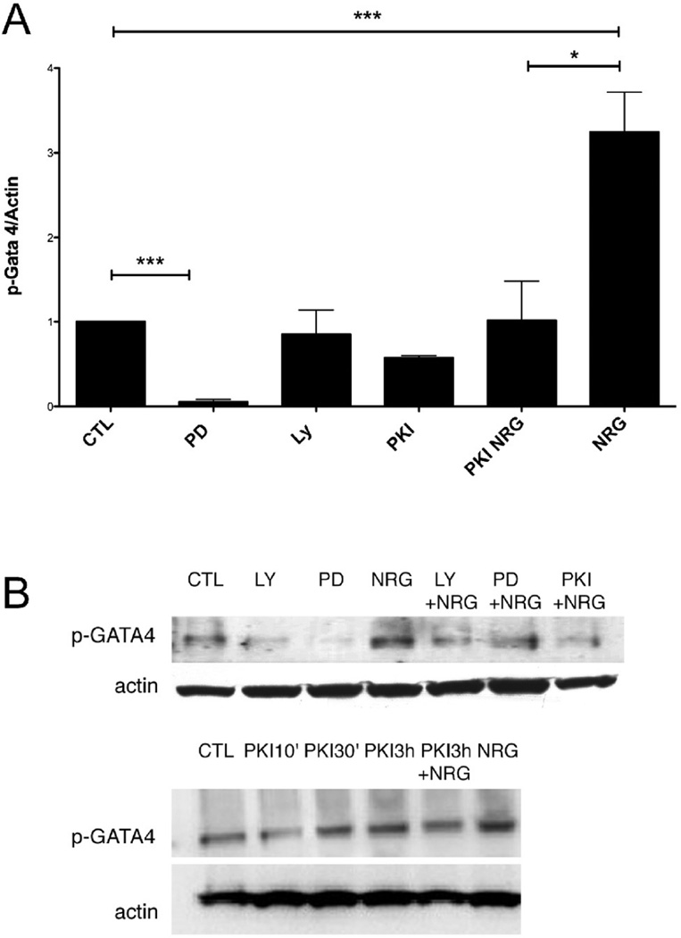 FIG. 7