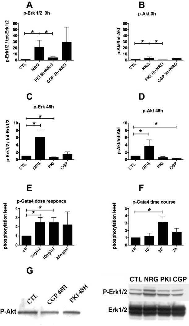 FIG. 6