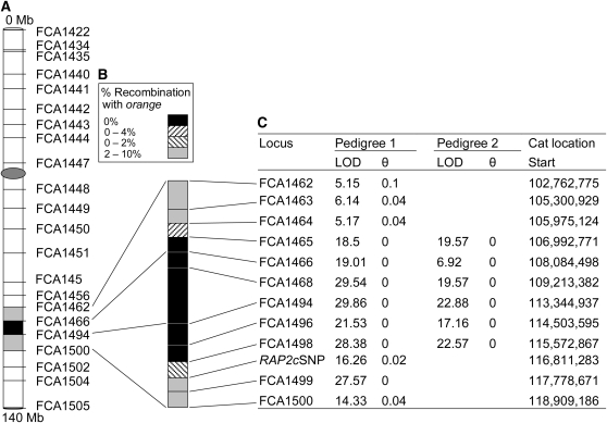 Figure 3.—