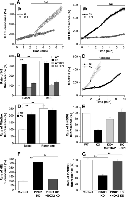 Figure 6