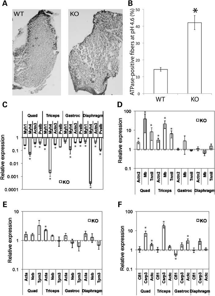 Figure 6.