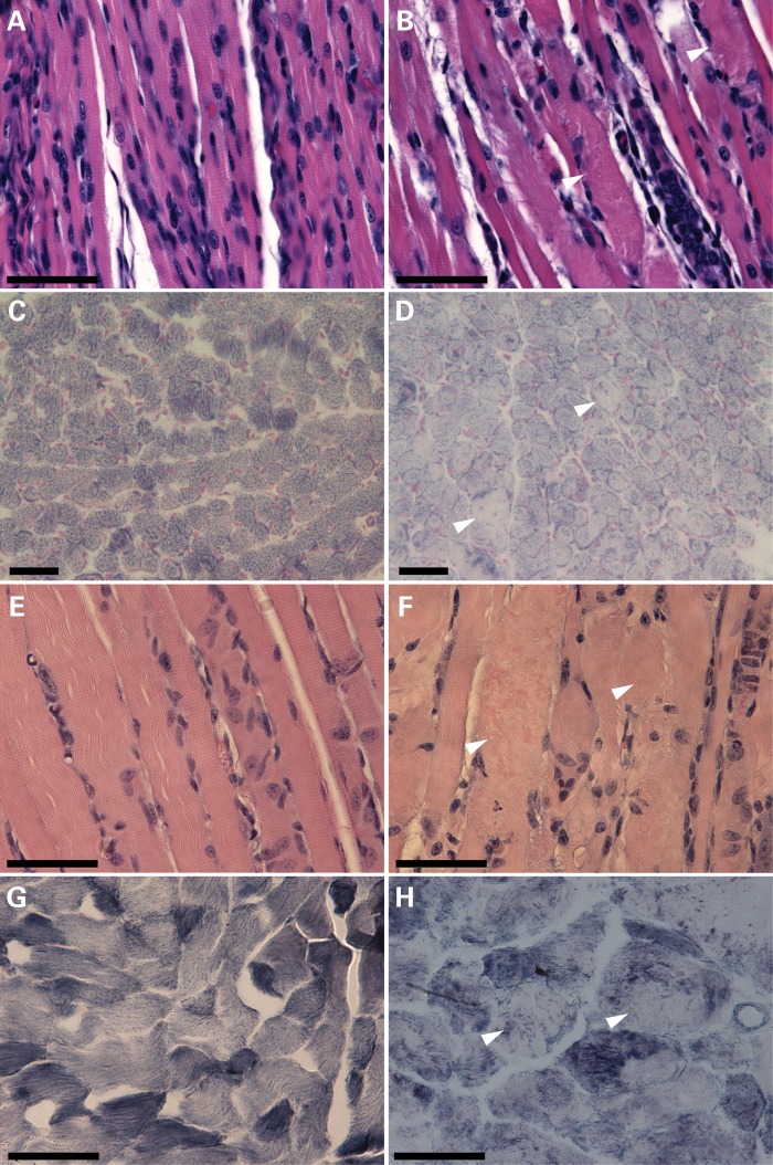 Figure 3.