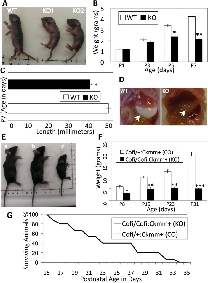 Figure 2.