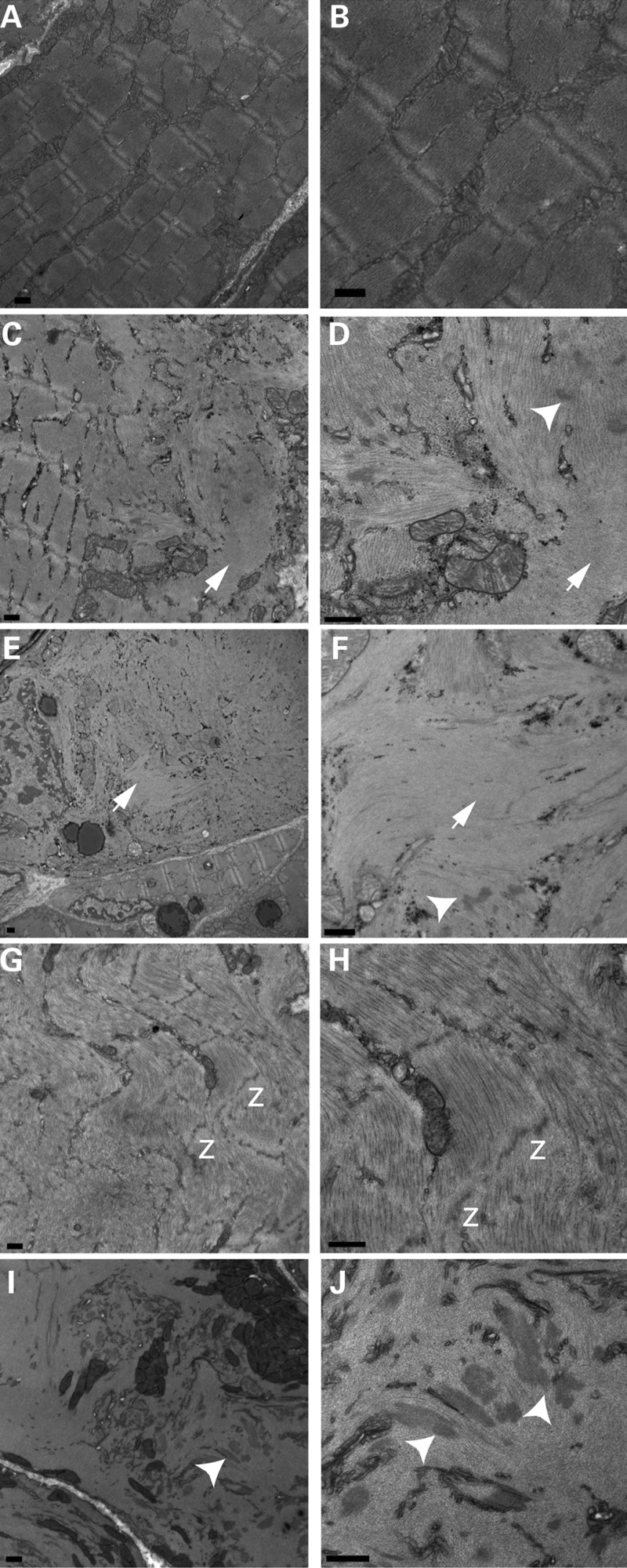 Figure 4.