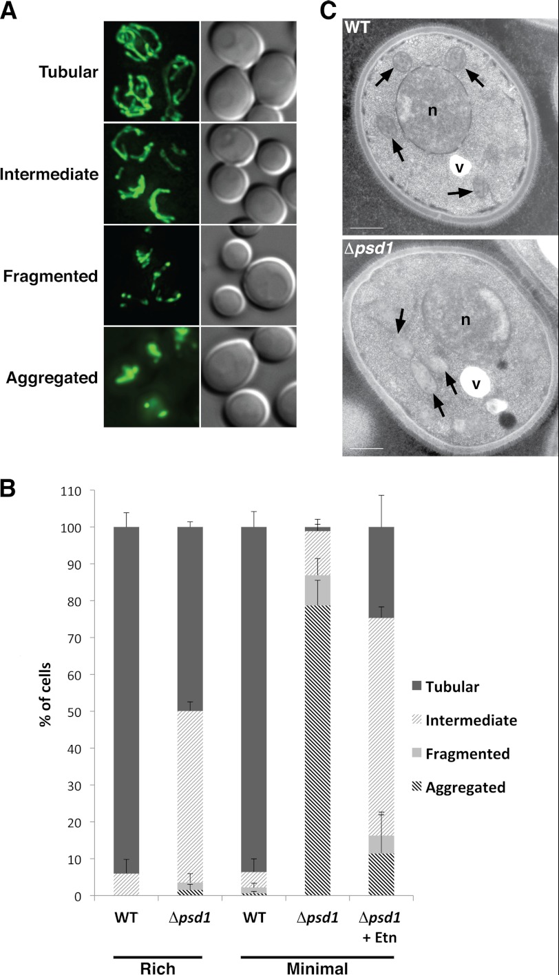 FIGURE 1.