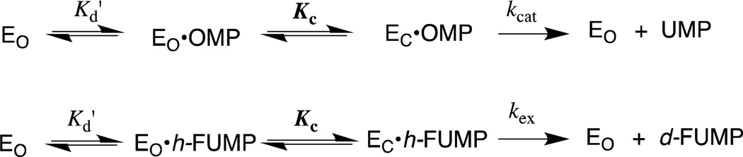 Scheme 5