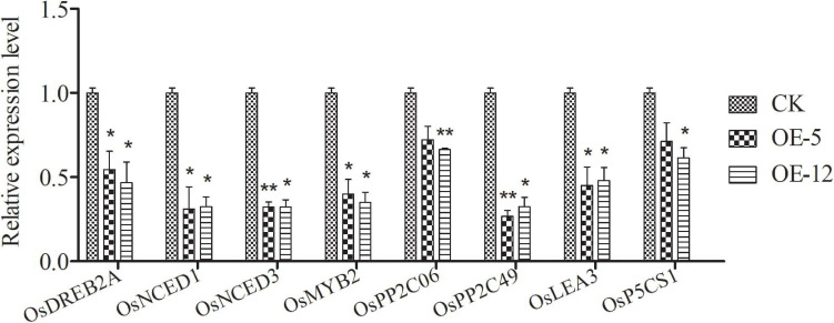 FIGURE 10