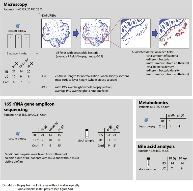 Supplementary Figure 3