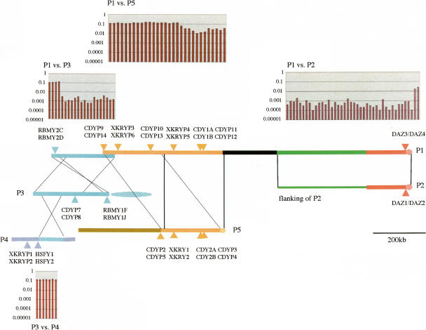 Figure 5.