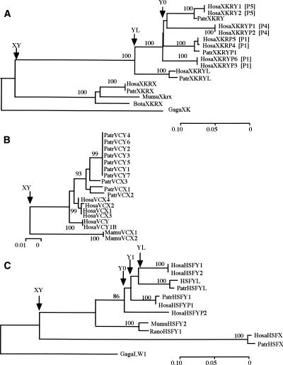 Figure 2.