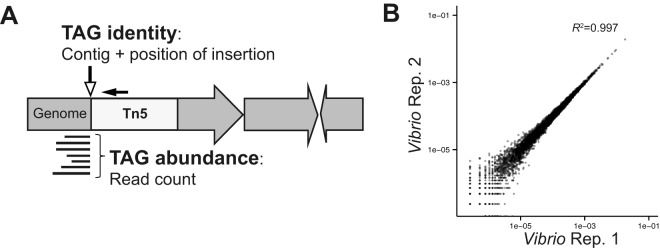 FIG 1 