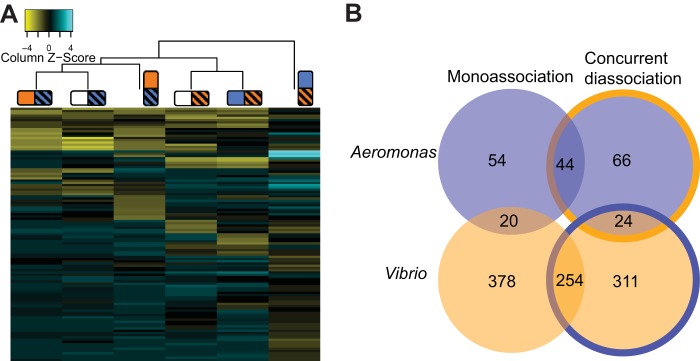 FIG 4 