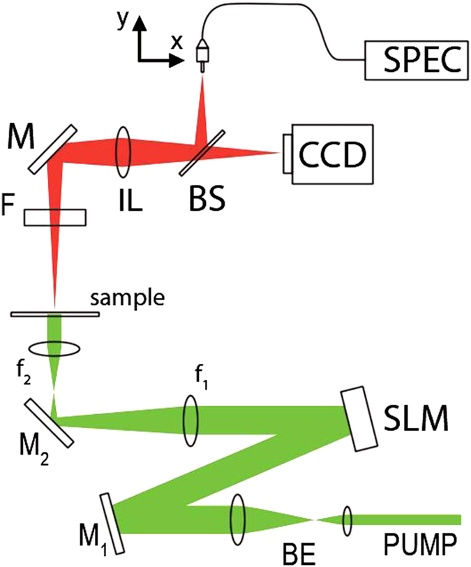 Figure 8