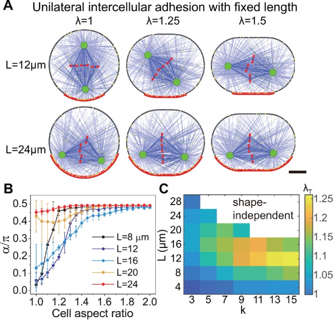 FIGURE 5: