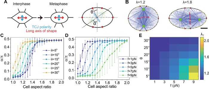 FIGURE 7: