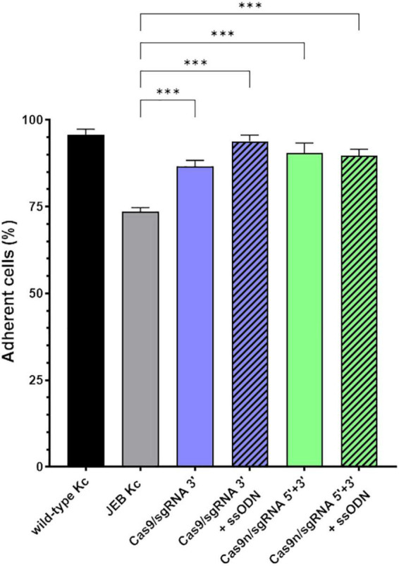 FIGURE 4