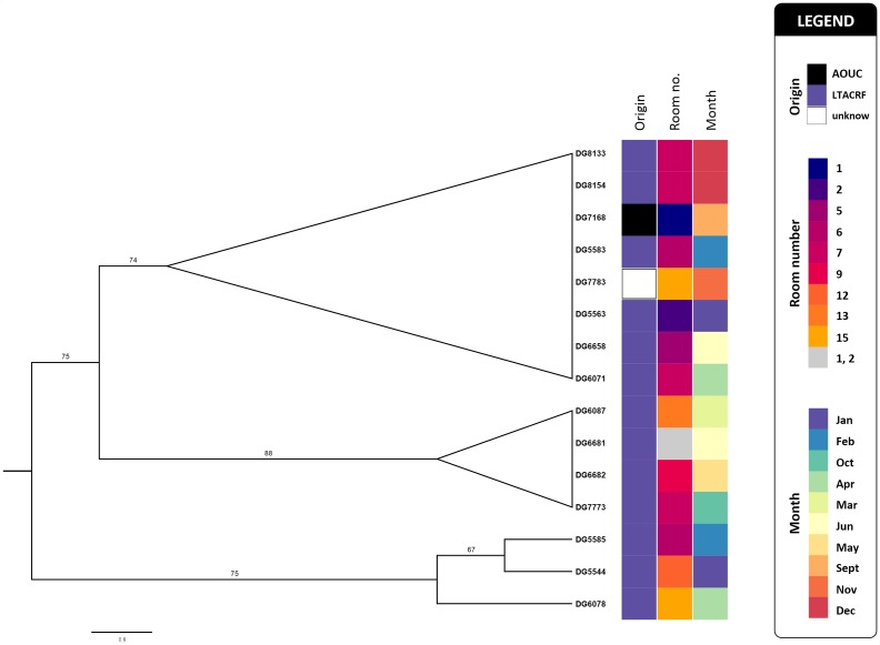 Fig. 2.