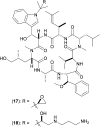 Fig. 5