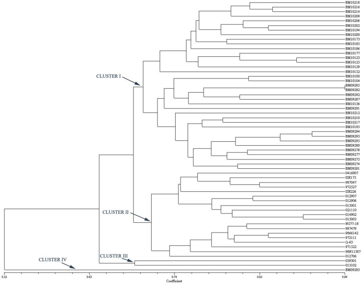 Fig. 1