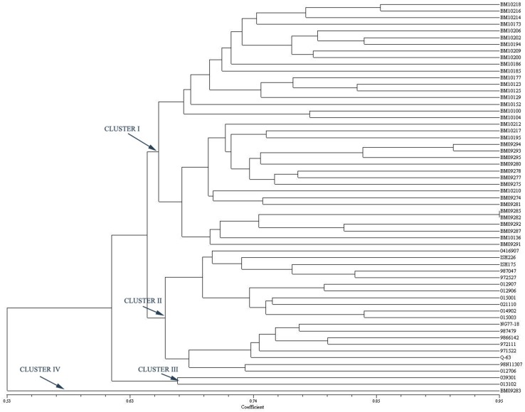 Fig. 3