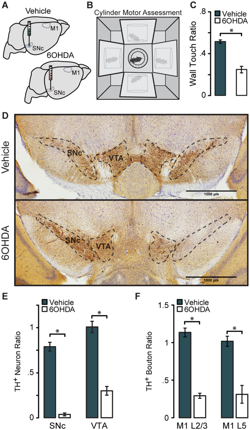 Figure 5.