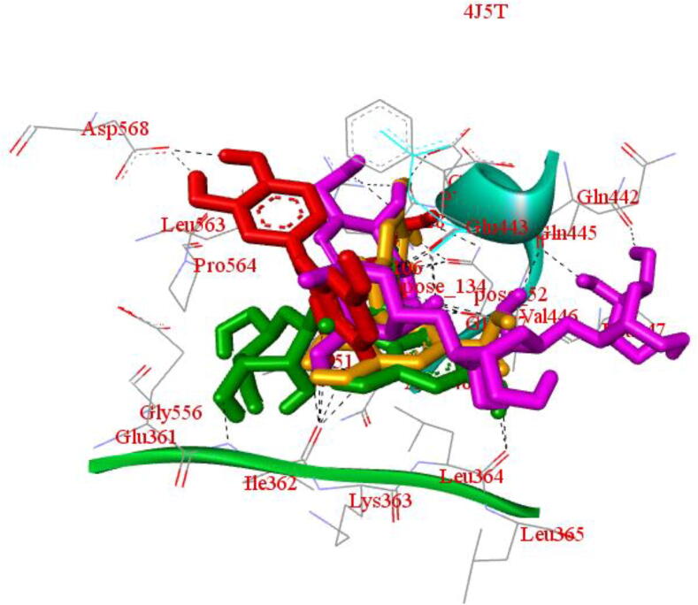 Fig. 12