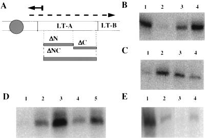 FIG. 1