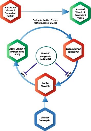 Fig. 2