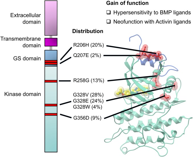 Figure 4.