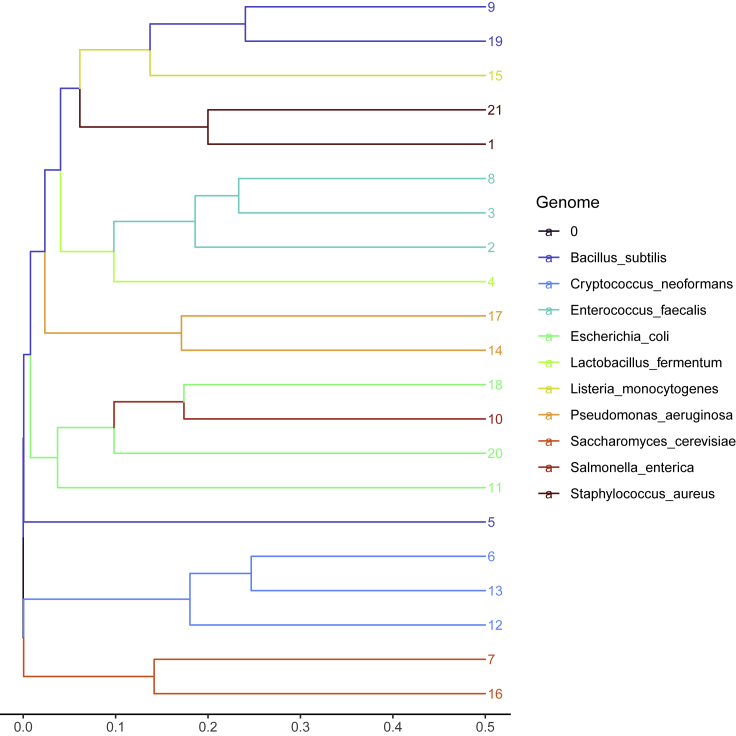 Figure 3