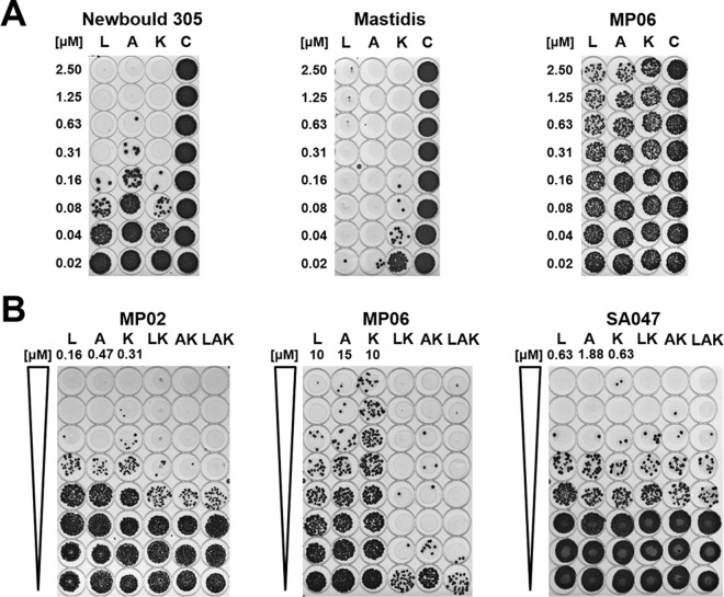 FIG 2